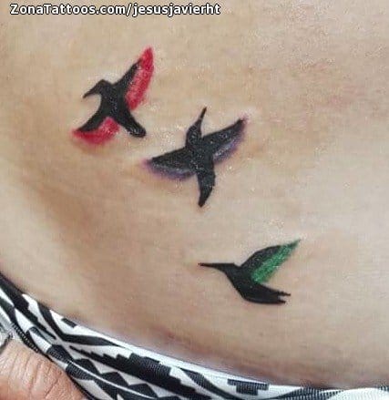 Foto de tatuaje Aves, Animales