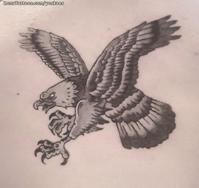 Foto de tatuaje Águilas, Aves, Animales