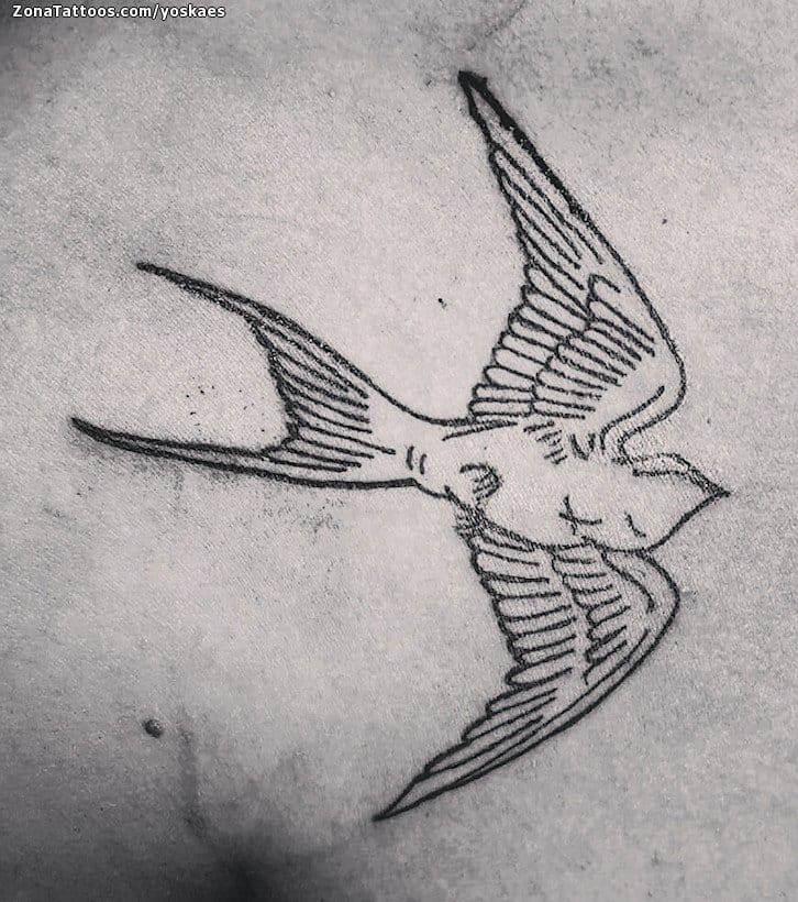 Tattoo photo Swallows, Birds, Animals