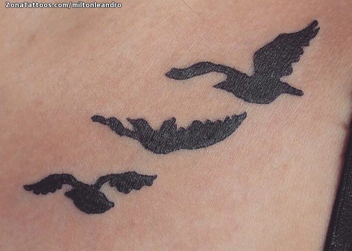 Foto de tatuaje Aves, Siluetas, Animales