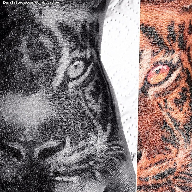 Tattoo photo Lions, Animals