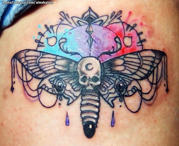 Foto de tatuaje Polillas, Acuarela, Insectos