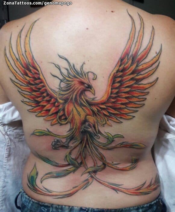 Tattoo photo Phoenix, Back, Fantasy