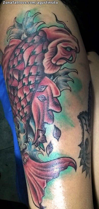 Tattoo photo Koi, Fish, Animals