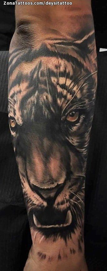 Tattoo photo Tigers, Animals, Forearm