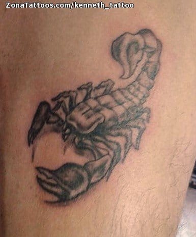 Tattoo photo Scorpions, Animals