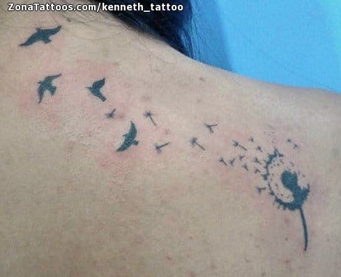 Tattoo photo Birds, Dandelions, Shoulder blade