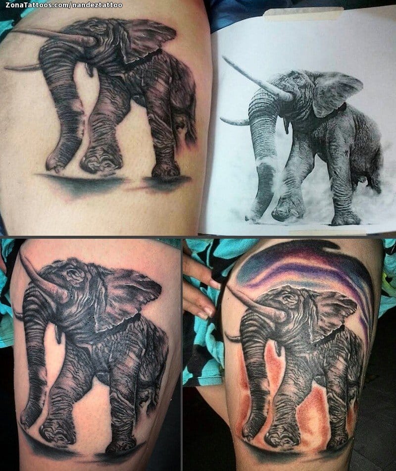 Foto de tatuaje Elefantes, Animales