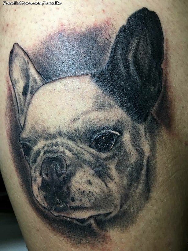 Tattoo photo Dogs, Animals