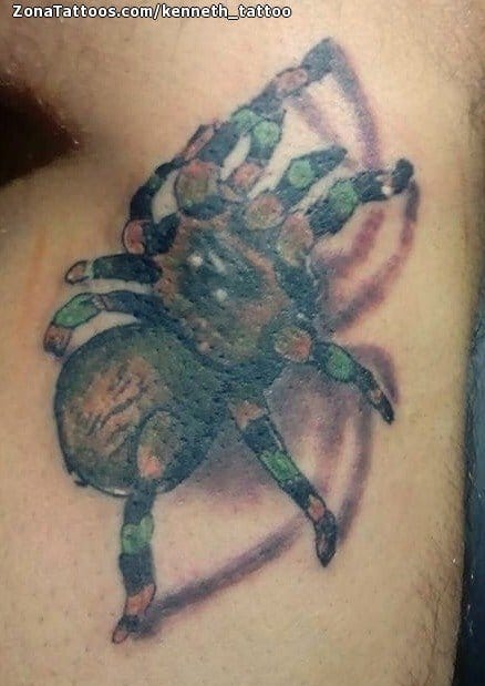 Tattoo photo Tarantulas, Animals