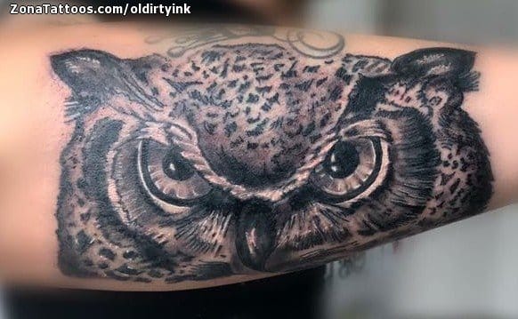 Foto de tatuaje Búhos, Aves, Animales