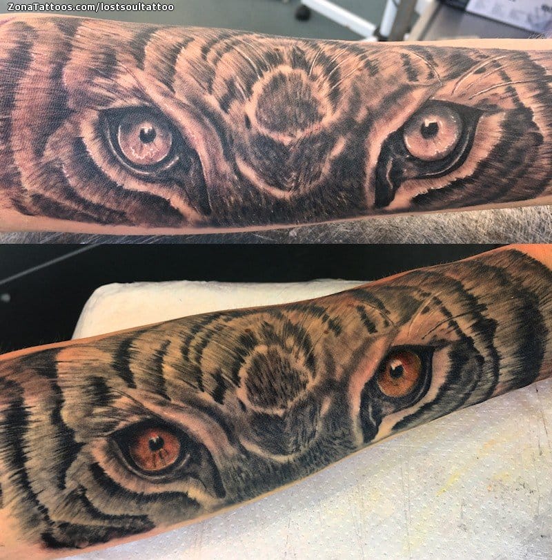 Foto de tatuaje Tigres, Animales