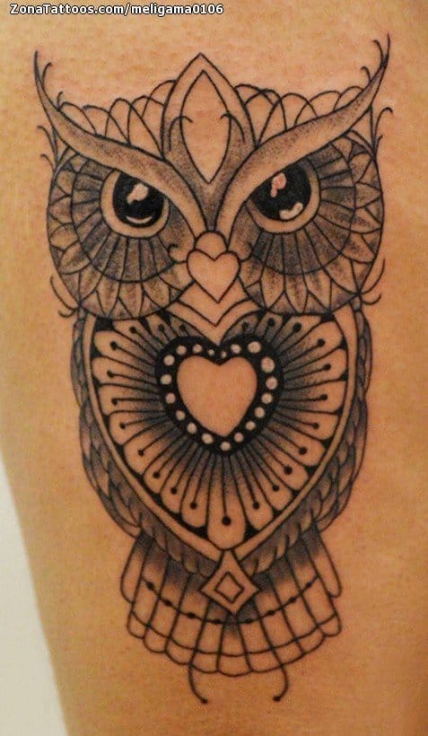 Tattoo photo Owls, Birds, Animals