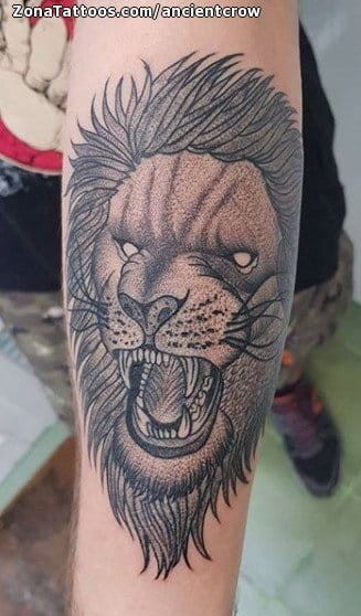 Foto de tatuaje Leones, Animales, Puntillismo