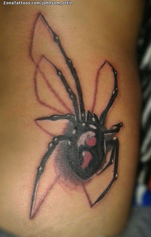 Tattoo photo Spiders, Animals