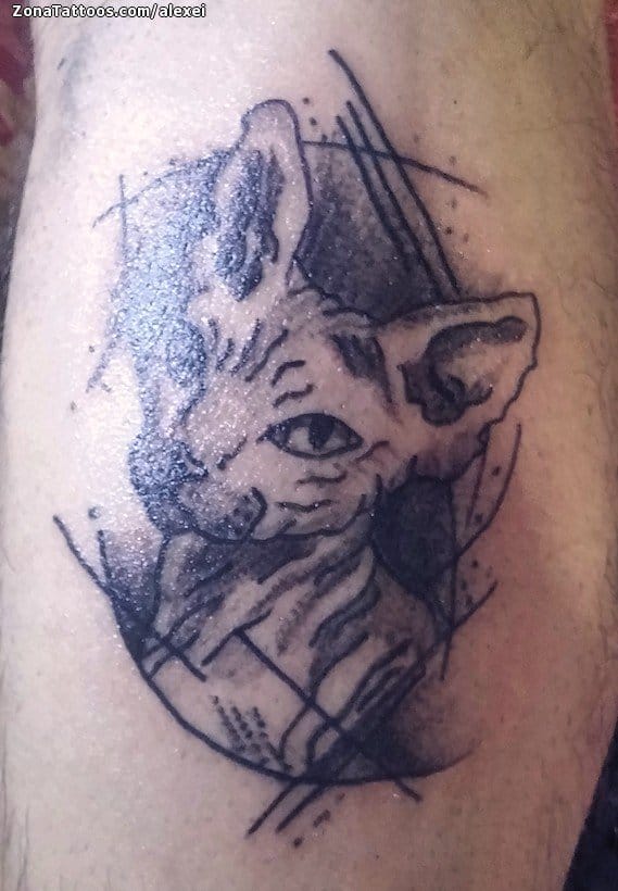 Foto de tatuaje Gatos, Animales, Sphynx