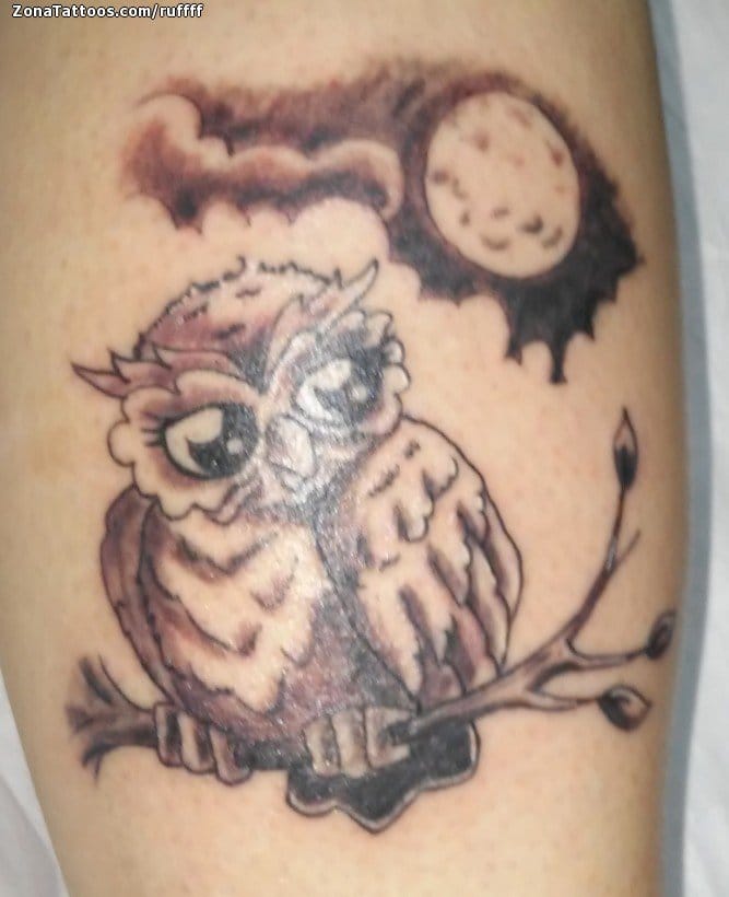 Tattoo photo Owls, Birds, Moons