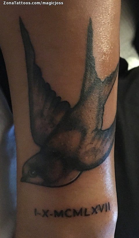 Foto de tatuaje Golondrinas, Aves, Animales