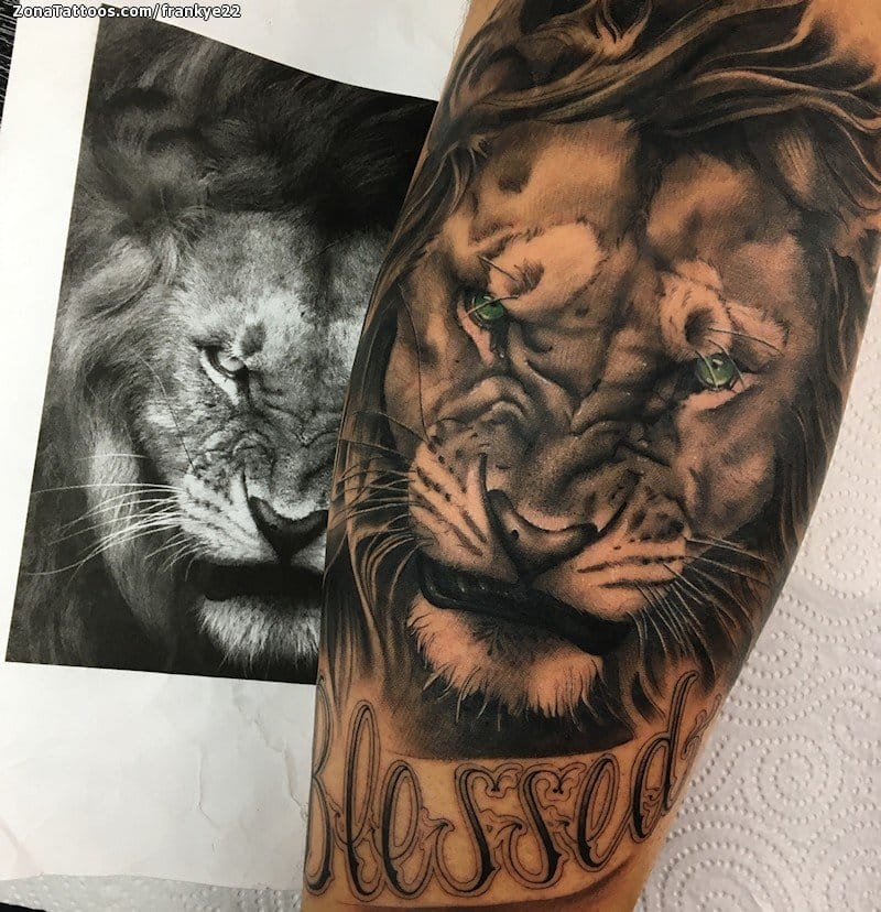 Tattoo of Lions, Animals