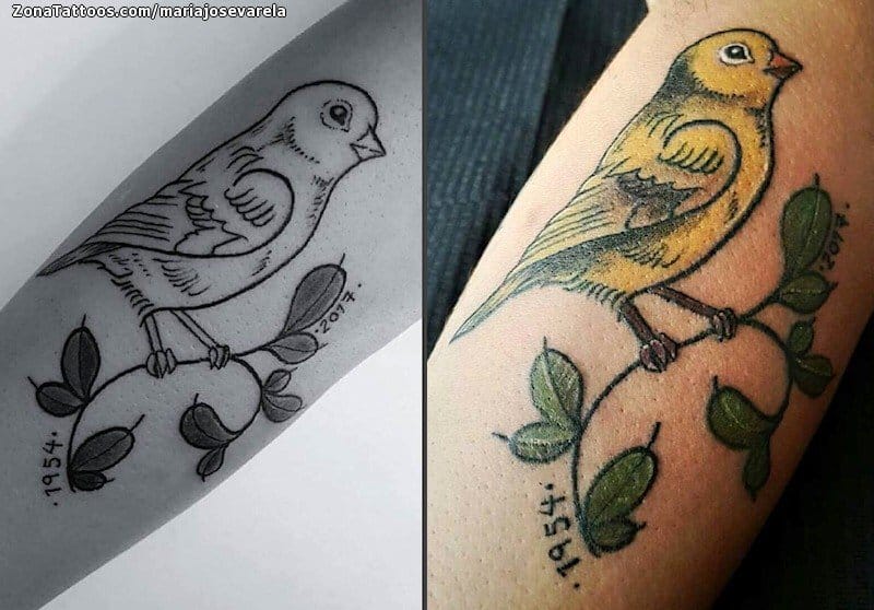 Foto de tatuaje Aves, Animales, Hojas