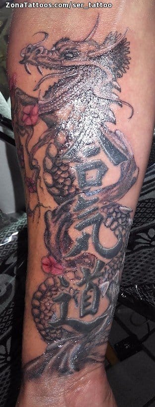 Tattoo photo Dragons, Asian, Kanjis