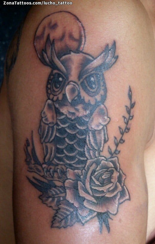 Tattoo photo Owls, Birds, Animals