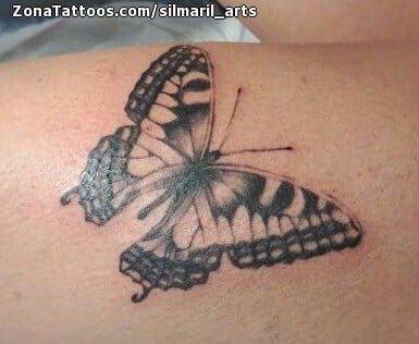 Foto de tatuaje Mariposas, Insectos, Pierna