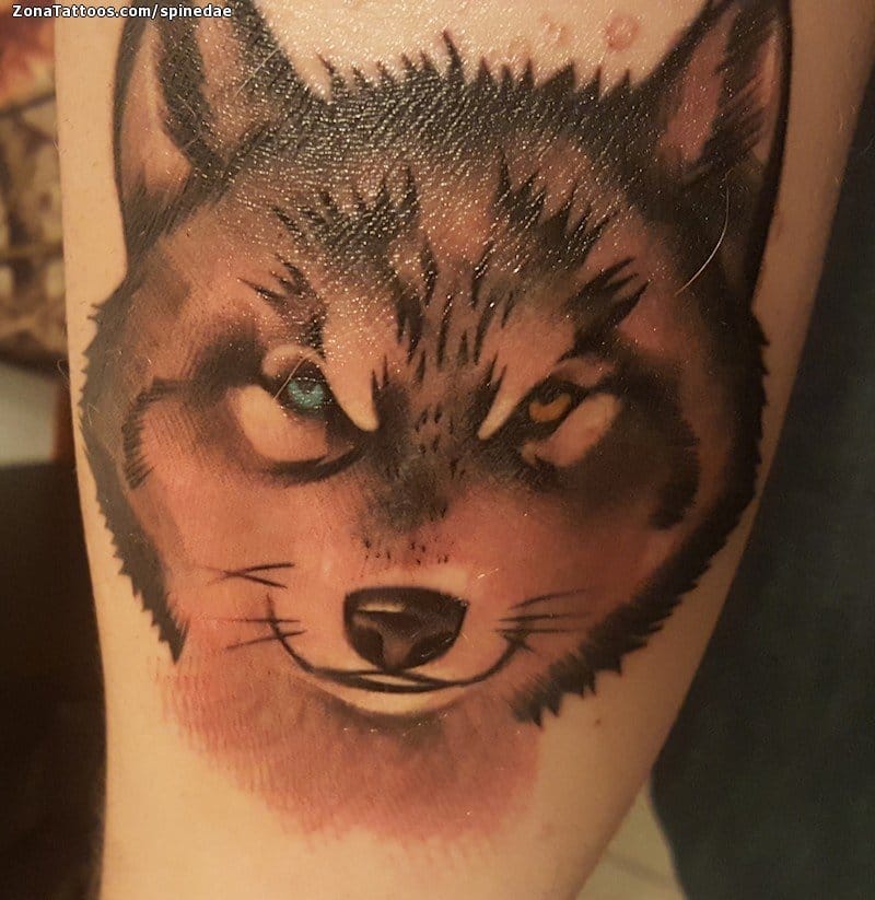 Tattoo photo Wolfs, Animals