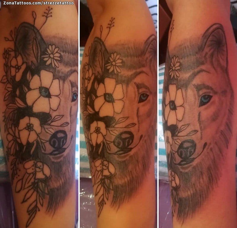 Foto de tatuaje Lobos, Animales