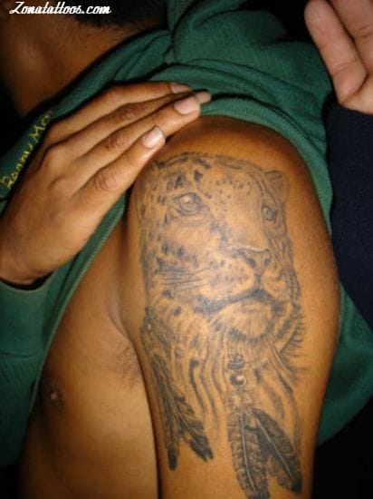 Foto de tatuaje Plumas, Leopardos, Animales