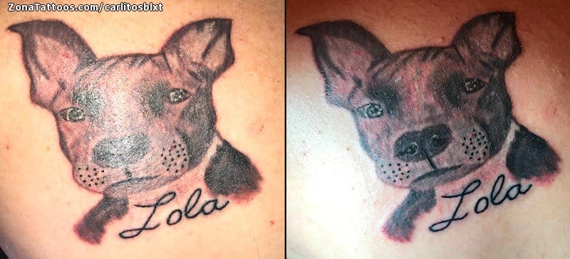 Foto de tatuaje Perros, Animales