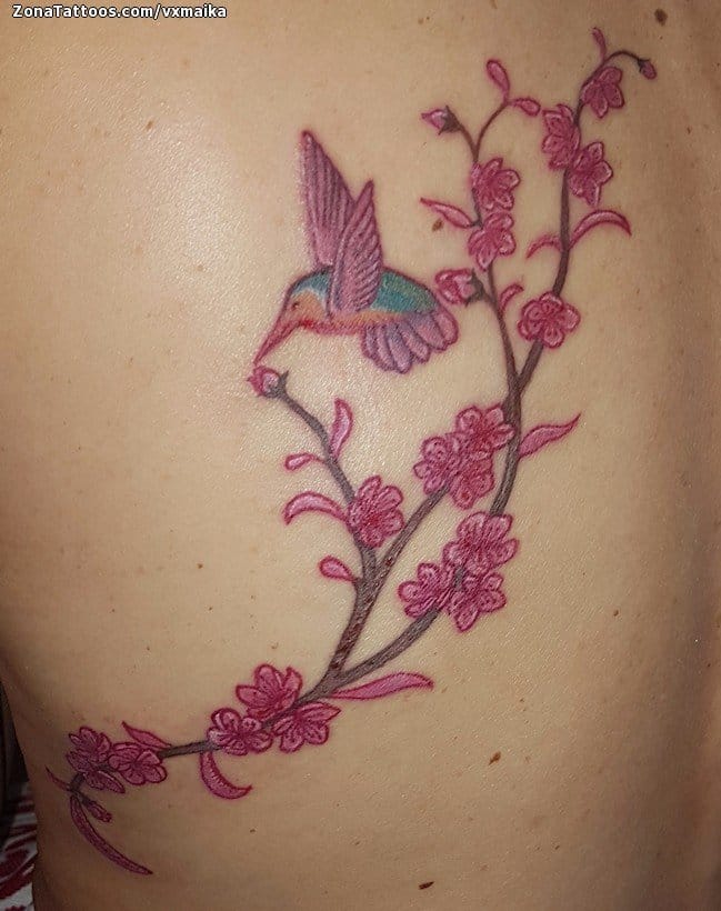 Tattoo photo Back, Flowers, Humming bird