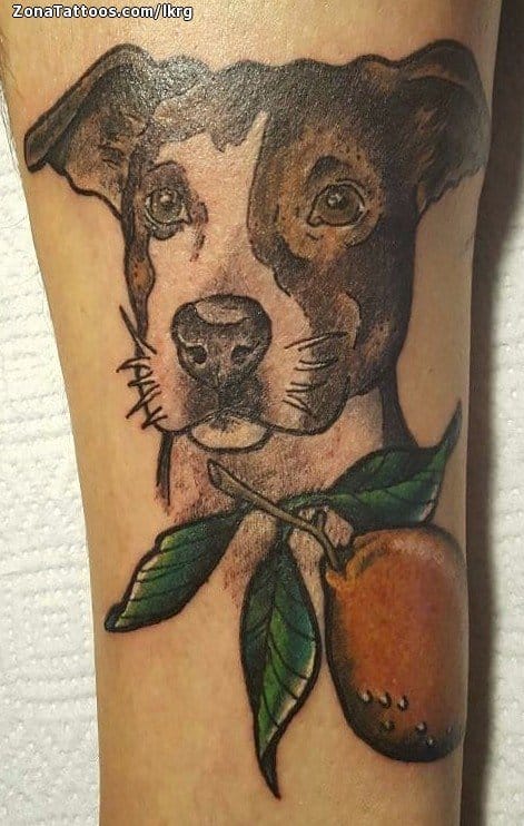 Tattoo photo Dogs, Fruits, Leaves