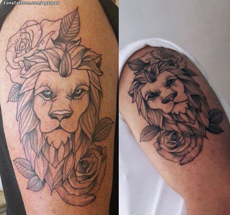 Tattoo photo Lions, Animals, Shoulder