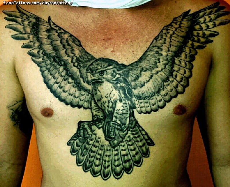 Foto de tatuaje Halcones, Aves, Animales