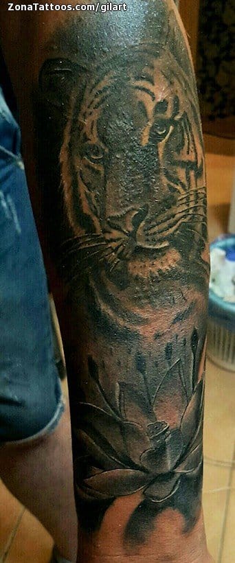 Tattoo photo Tigers, Lotus, Animals