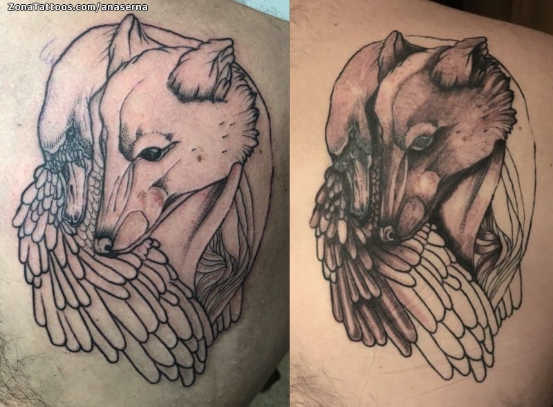 Foto de tatuaje Zorros, Aves, Animales