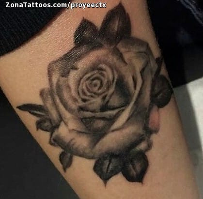 Tattoo photo Roses, Flowers