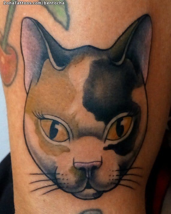 Foto de tatuaje Gatos, Animales