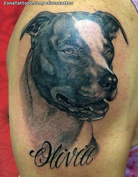 Foto de tatuaje Perros, Animales, Hombro