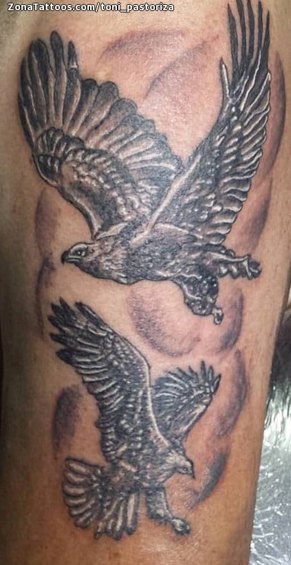 Foto de tatuaje Águilas, Aves, Animales