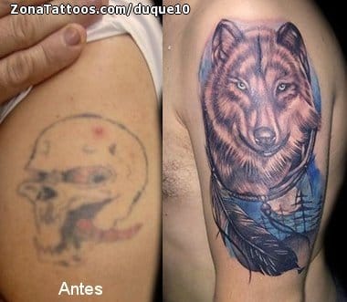 Foto de tatuaje Cover Up, Lobos, Animales