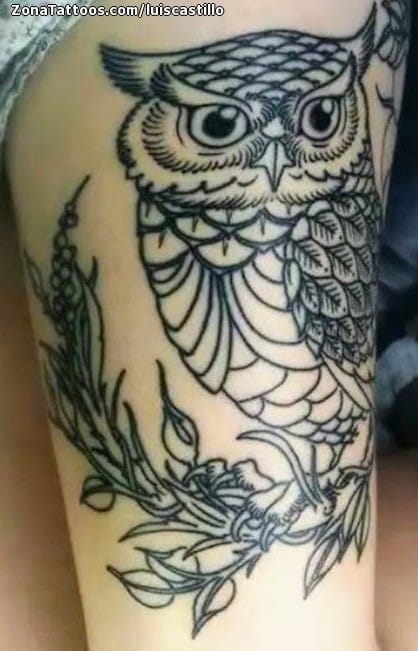 Foto de tatuaje Búhos, Aves, Animales