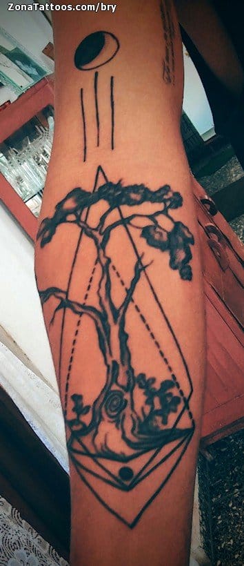 Tattoo photo Trees, Geometrics