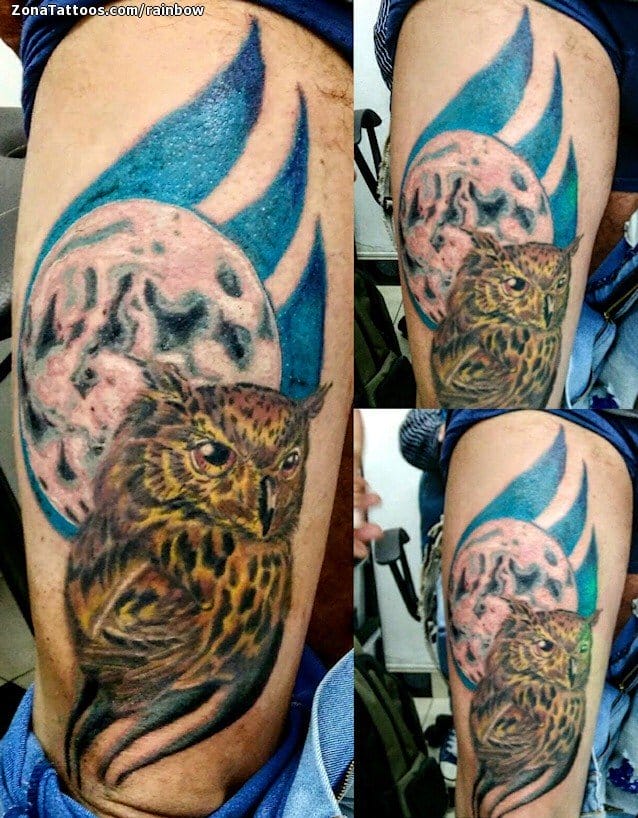 Tattoo photo Owls, Moons, Birds