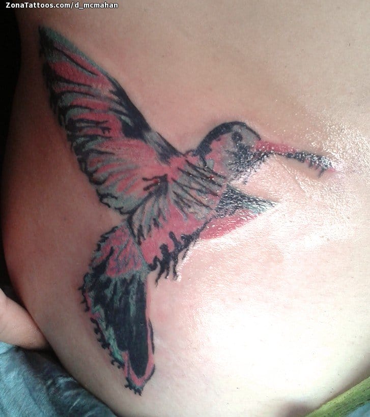 Foto de tatuaje Colibríes, Aves, Animales