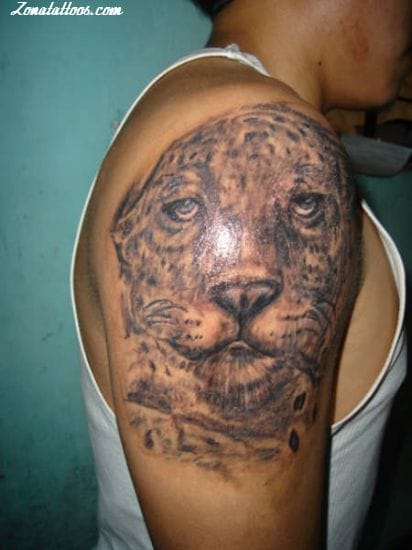 Foto de tatuaje Leopardos, Animales, Hombro