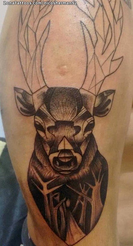 Foto de tatuaje Ciervos, Animales