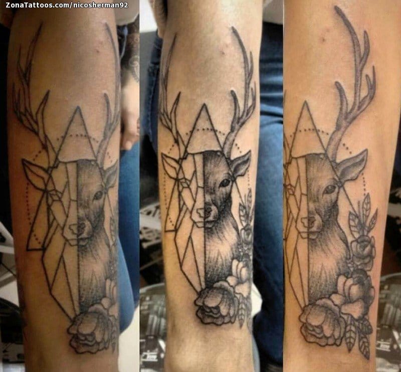 Foto de tatuaje Ciervos, Animales, Geométricos