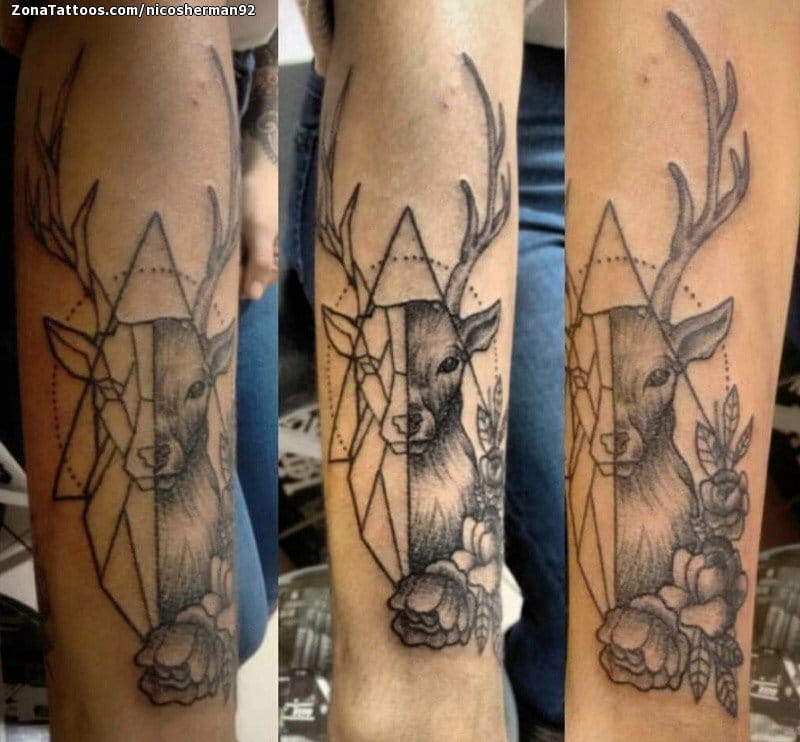 Tattoo photo Deers, Animals, Geometrics